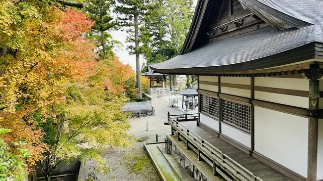 雲辺寺の紅葉 大師堂周辺の紅葉の様子
