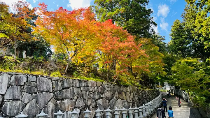 雲辺寺の紅葉 見頃はいつ?
