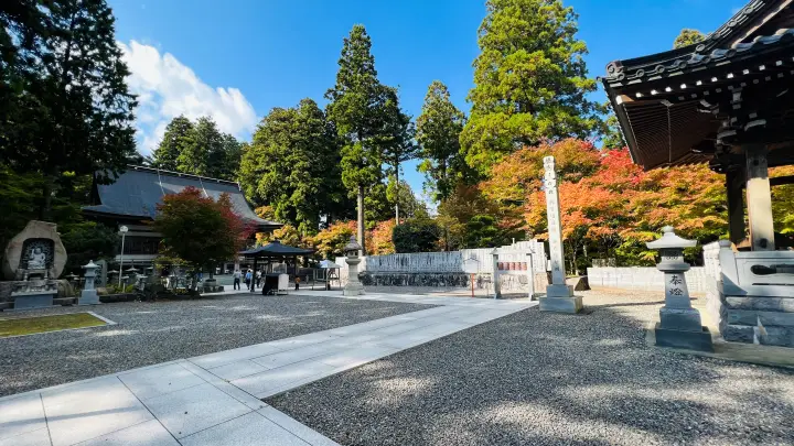 雲辺寺の紅葉 見頃はいつ?