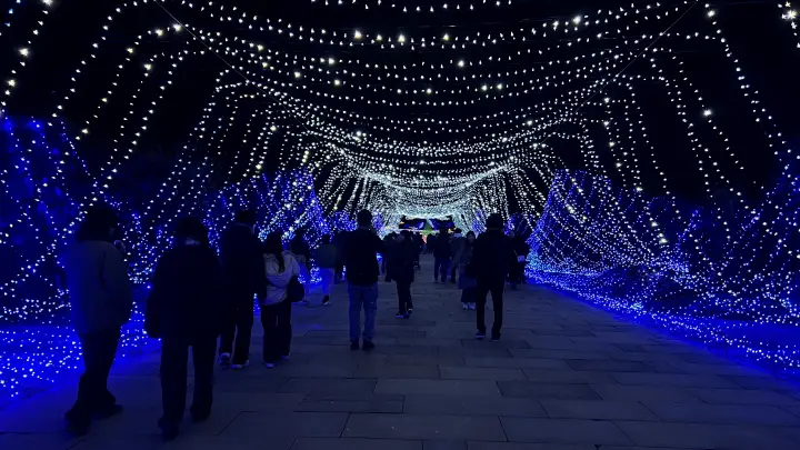 2025年 まんのう公園 イルミネーション