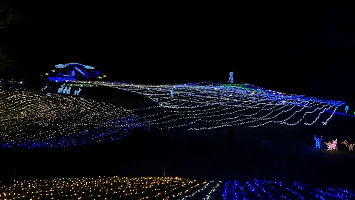 2025年 まんのう公園 イルミネーション