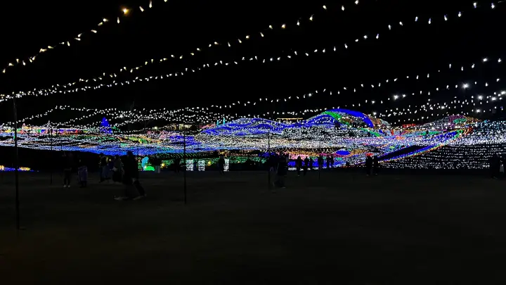 2025年 まんのう公園 イルミネーション