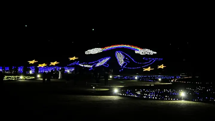 2025年 まんのう公園 イルミネーション