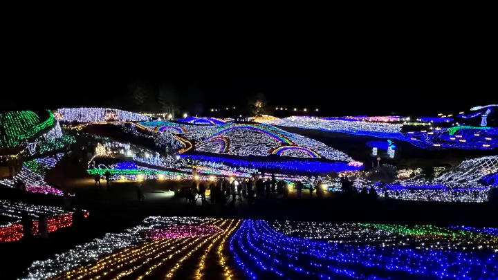 2025年 まんのう公園 イルミネーション