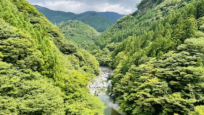 剣山へ、かずら橋、祖谷そば、かかしの里を巡り涼を求めドライブ