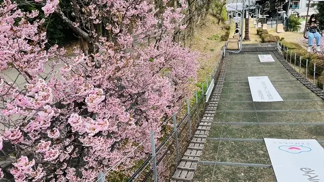 松山城 下りのリフトから見る風景