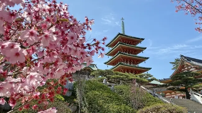 耕三寺 境内の中央にそびえ立つ五重塔