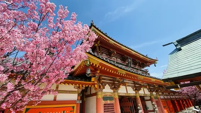 耕三寺 中門と桜