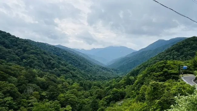 徳島の秘境・剣山へ 国道439号「祖谷のかずら橋・祖谷そば・かかしの里」を巡る満喫ドライブ記