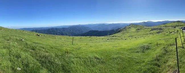 四国カルスト天狗高原のパノラマ絶景