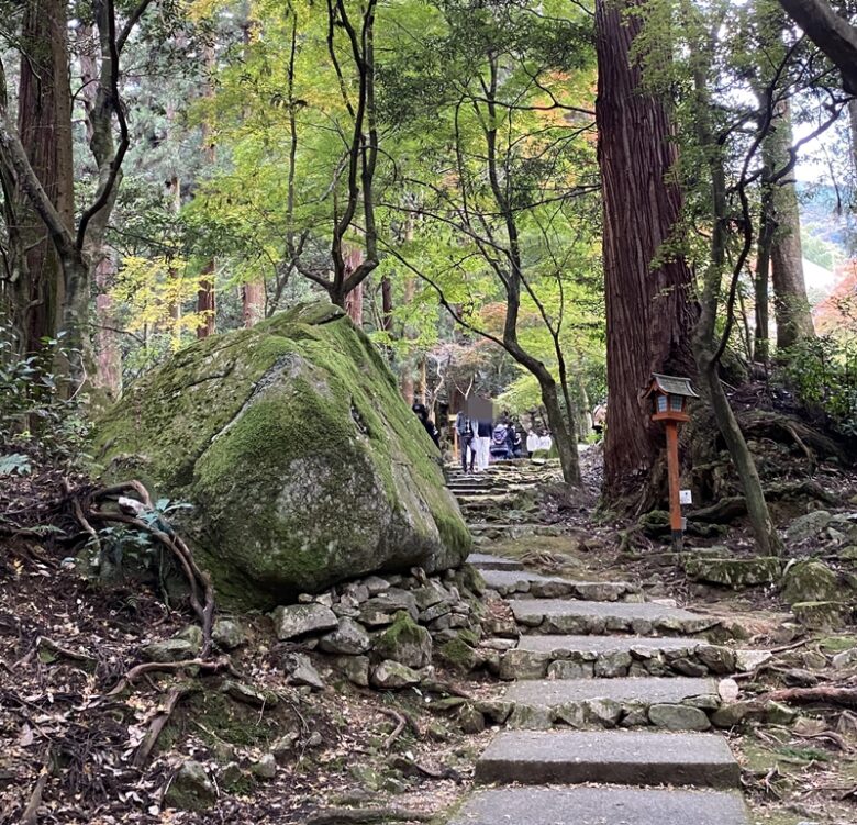 西山興隆寺の紅葉の見頃と境内散策 愛媛県西条市紅葉スポット