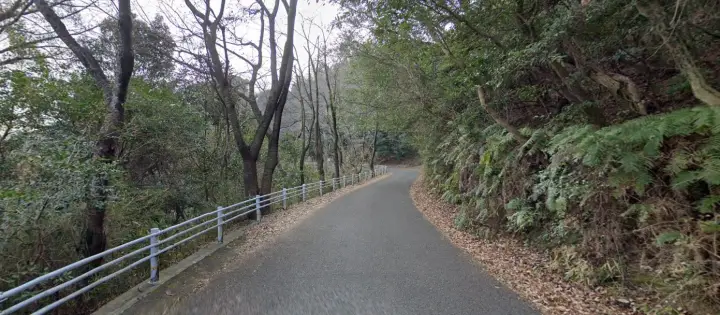 徳島・眉山 車で山頂まで行ってみた ルート紹介 北側ルート 道路状況