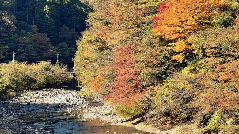 べふ峡の紅葉を11月上旬に見に行きました。高知県紅葉スポット見頃