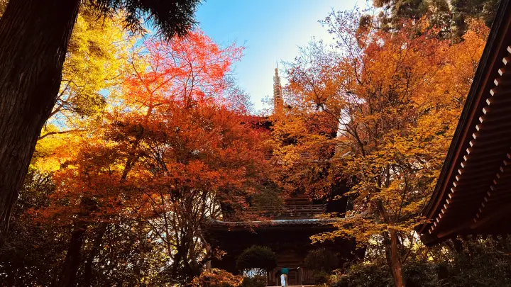 西山興隆寺の紅葉