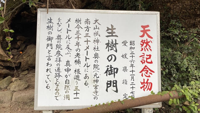 大山祇神社 奥の院 生樹の御門 樹齢２６００年の神木 パワースポット