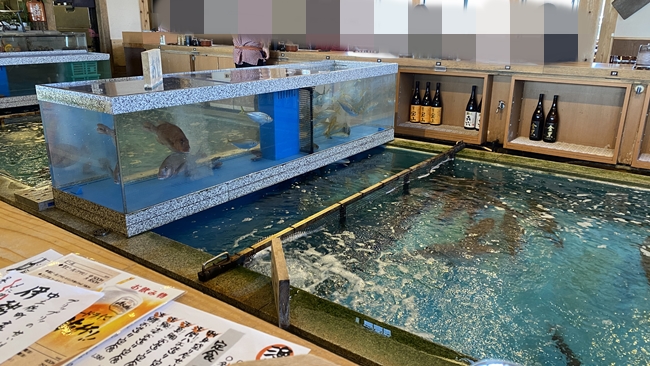 高知市の海鮮が美味しいお店 「漁ま」 活魚レストランでランチ