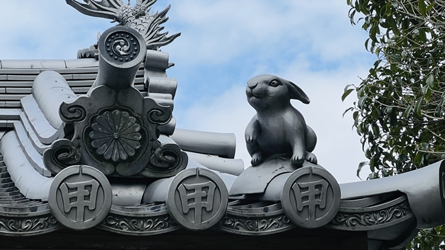 甲山寺 七ヶ所参り 境内に沢山いるうさぎ