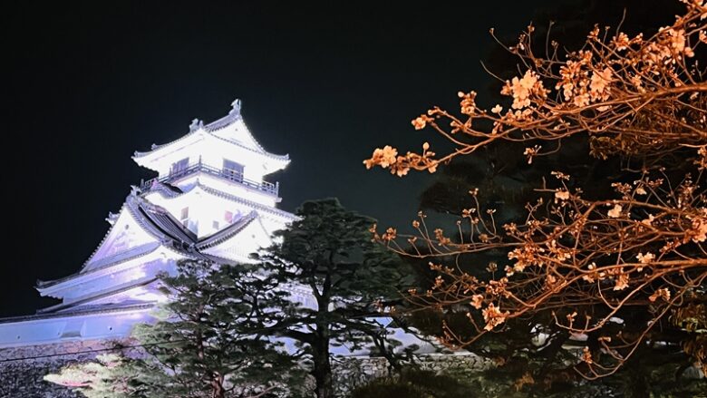高知市いろんな場所の満開の桜。高知城や護国神社、琴平神社、さくら公園