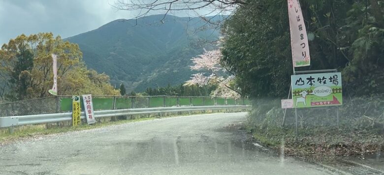 山本牧場の芝桜が見られる時期・見頃・料金は？しば桜まつりも開催