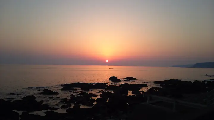 ホテル白い燈台 日帰り温泉 ペット宿泊情報【徳島・美波町】