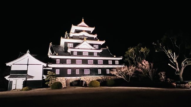 岡山城 昼と夜に行くと雰囲気が違って面白い 川面に映える漆黒の城