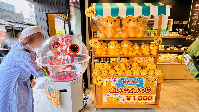 道後温泉観光 穴場スポット 圓満寺（えんまんじ） 伊佐爾波神社