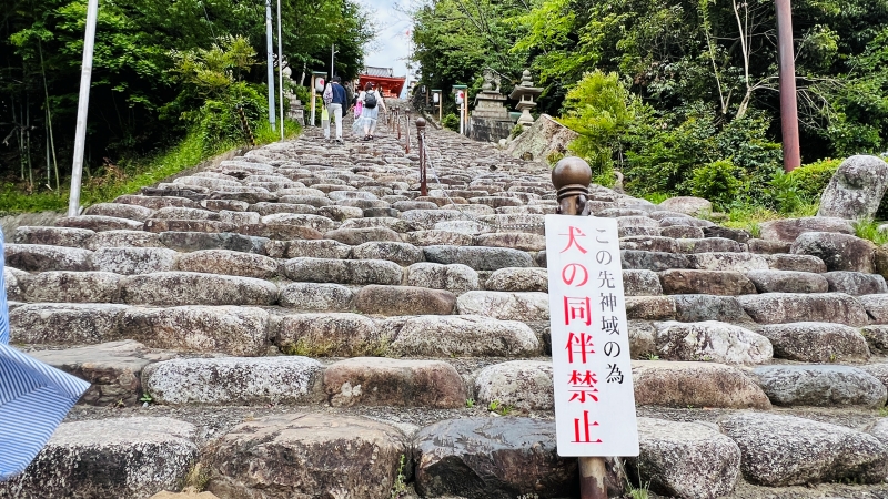 道後温泉観光 穴場スポット 圓満寺（えんまんじ） 伊佐爾波神社