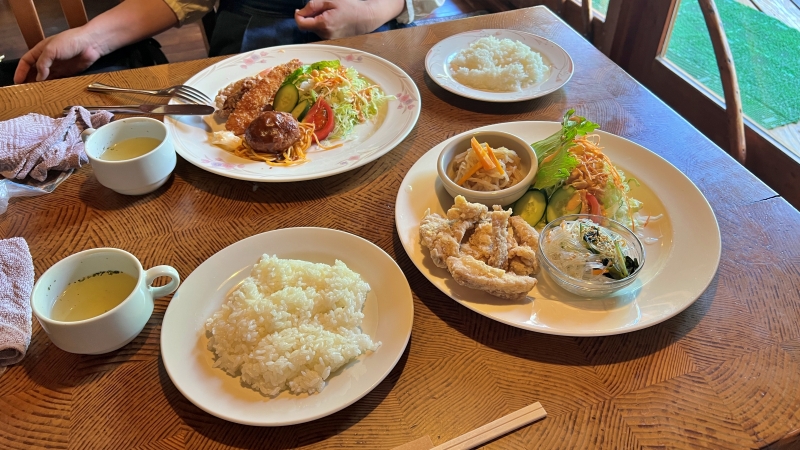 四万十町 カフェレスト ロガーでランチ 道の駅あぐり窪川の向かいにある ログハウスレストラン