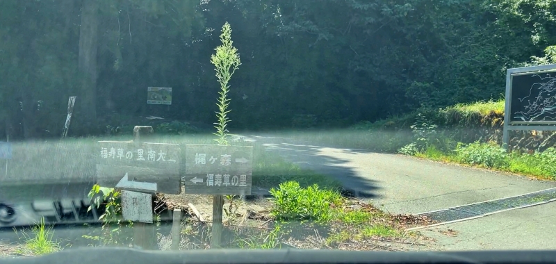 高知県 梶ヶ森 山頂まで車で行けます。 パノラマ大絶景で夏は涼しく夜は満天の星空