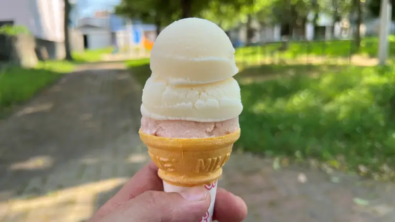 高知 アイスクリン 観光名所などによくある夏にぴったりグルメ