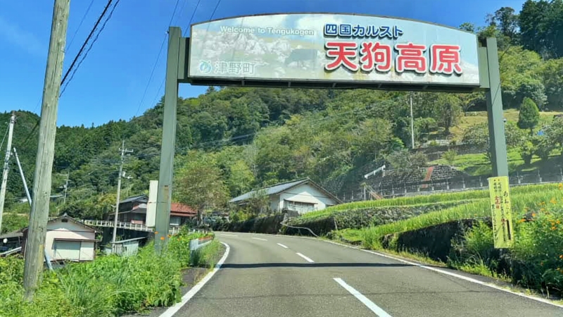 四国カルスト天狗高原へ 安全安心なルート 愛猫トラちゃんと夏の避暑地ドライブ