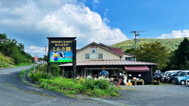 四国カルスト天狗高原へ 安全安心なルート 愛猫トラちゃんと夏の避暑地ドライブ