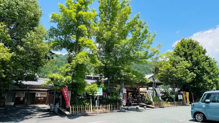 道の駅 土佐さめうら 新緑に覆われた施設