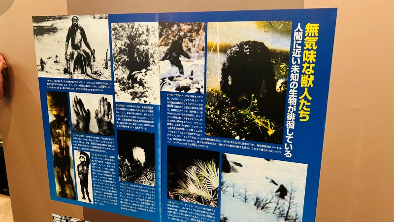 ムー展 高知 オカルト好き必見 UFOや未確認生物 坂本龍馬はフリーメイソン？ 謎と不思議を楽しむ企画展