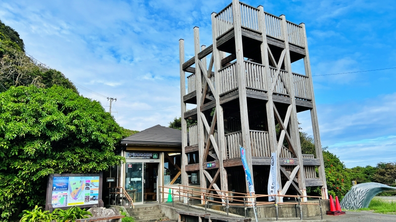 御厨人窟 (みくろど)  から見える空と海が神秘的 室戸岬にある「弘法大師 空海ゆかりの地」