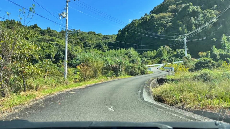 奈半利町 コスモス畑と海の絶景 カカシも面白い お出かけスポット