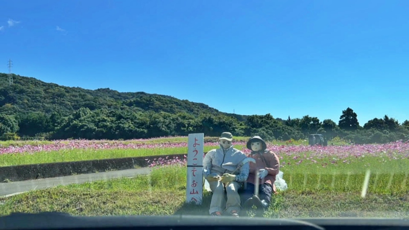 奈半利町 コスモス畑と海の絶景 カカシも面白い お出かけスポット