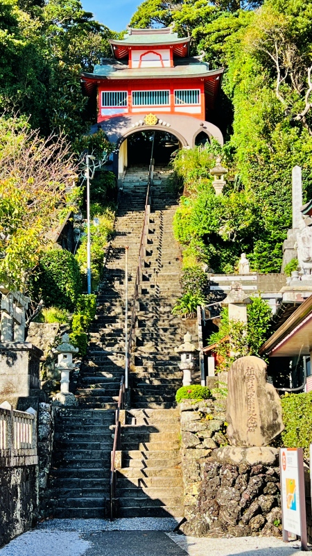 室戸市 「津照寺から見る町と海の風景」 鐘桜門からの景色が最高