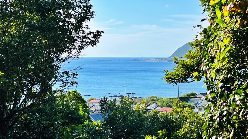 室戸市 「津照寺から見る町と海の風景」 鐘桜門からの景色が最高