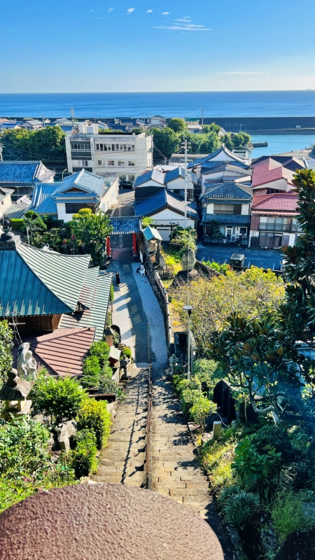 室戸市 「津照寺から見る町と海の風景」 鐘桜門からの景色が最高