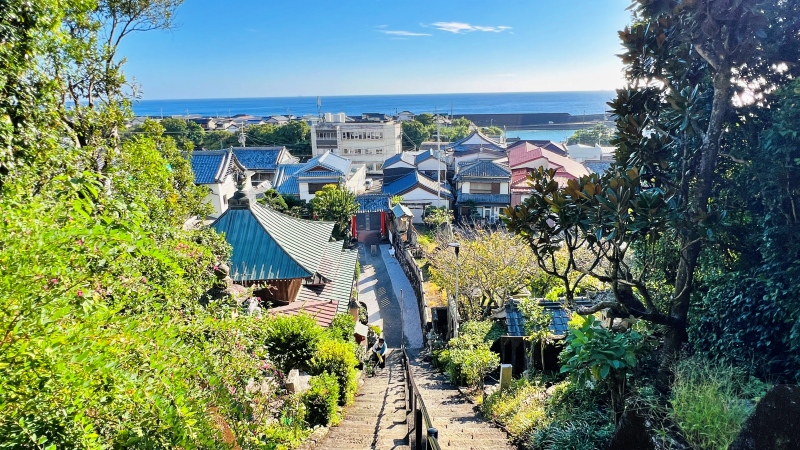 室戸市 「津照寺から見る町と海の風景」 鐘桜門からの景色が最高