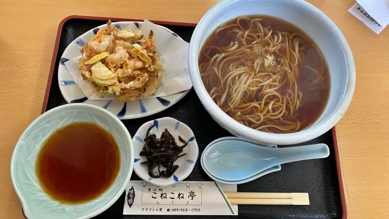 道の駅 なかやま 車中泊もできる 栗や蕎麦が名物 国道56号線沿い