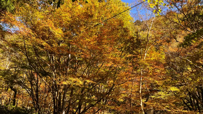 小田深山渓谷 紅葉がキレイ 愛媛県の人気スポット 行き方や駐車場