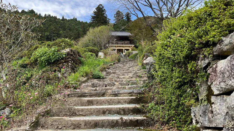 定福寺 高知県紅葉人気スポット 本堂周辺がキレイ 行き方・駐車場