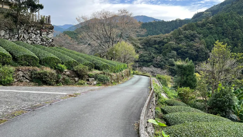 定福寺 高知県紅葉人気スポット 本堂周辺がキレイ 行き方・駐車場