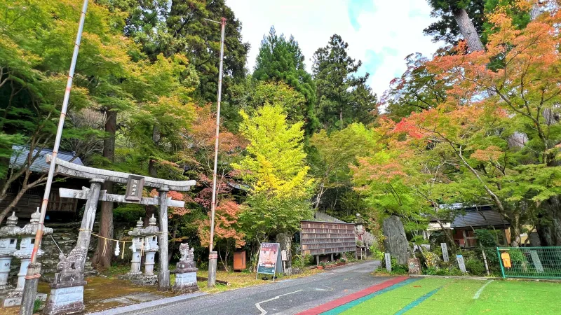 定福寺 高知県紅葉人気スポット 本堂周辺がキレイ 行き方・駐車場