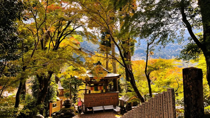 定福寺 高知県紅葉人気スポット 本堂周辺がキレイ 行き方・駐車場