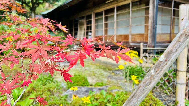 定福寺 高知県紅葉人気スポット 本堂周辺がキレイ 行き方・駐車場