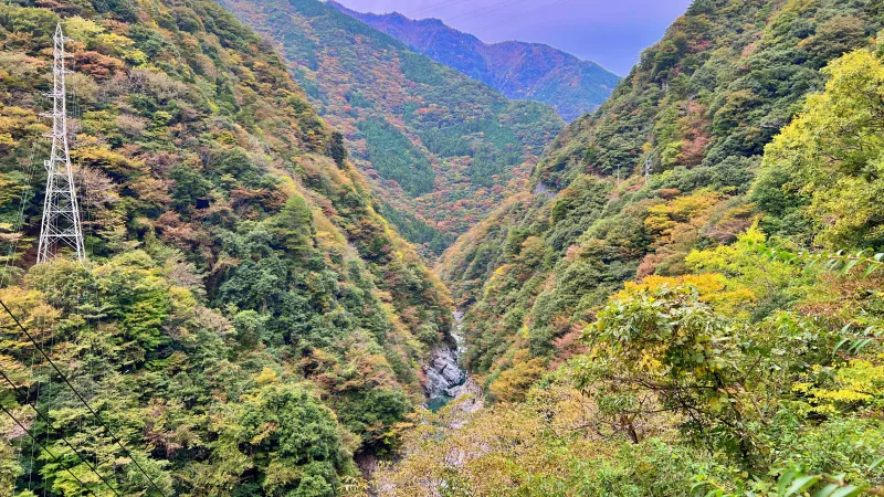 徳島県祖谷 紅葉ドライブ 高齢の母と秋を楽しめるスポット 小便小僧 ひの字渓谷 かずら橋