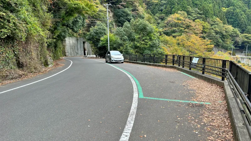 徳島県祖谷 紅葉ドライブ 高齢の母と秋を楽しめるスポット 小便小僧 ひの字渓谷 かずら橋